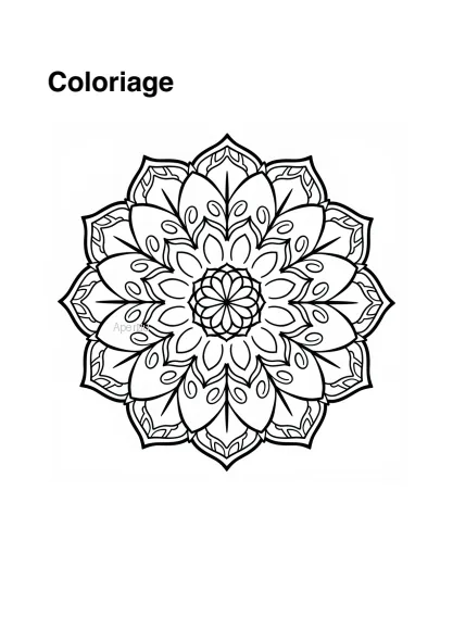 Aperçu du kit Rosace florale (mandala doux)